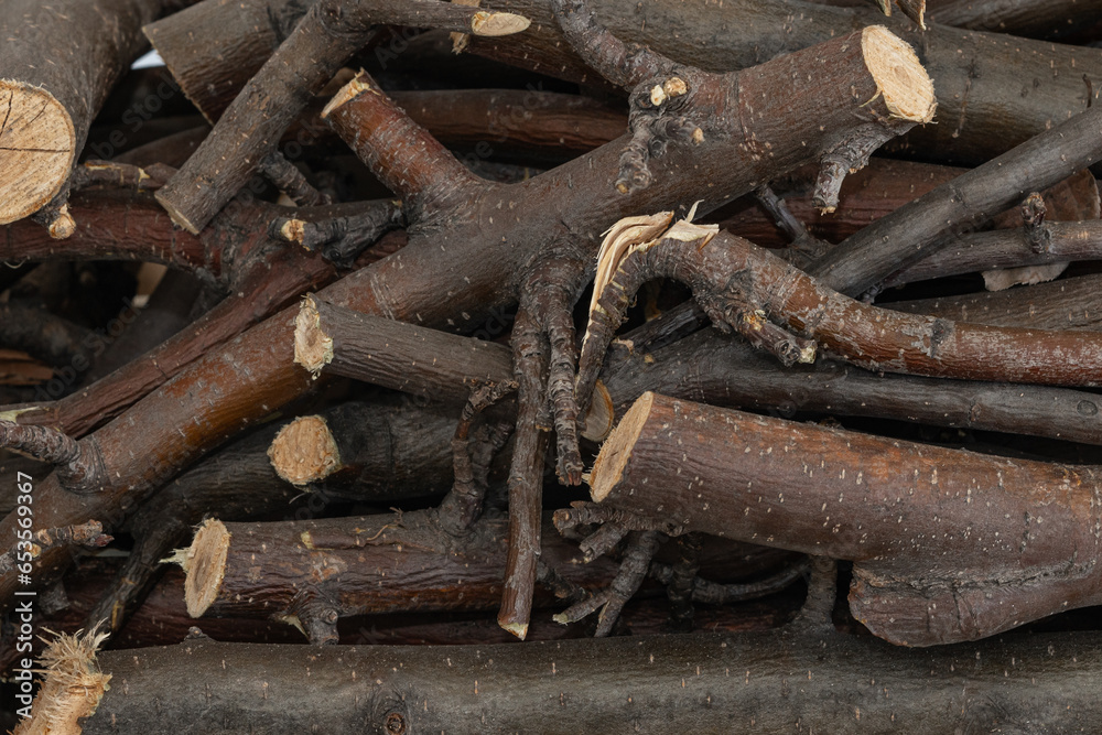 Bundle of dry sticks and branches. Dry brushwood. Firewood. Large pile of sticks twigs of a tree. Bundle of dry sticks and branches. Dry brushwood. Firewood. Large pile of sticks twigs of a tree.