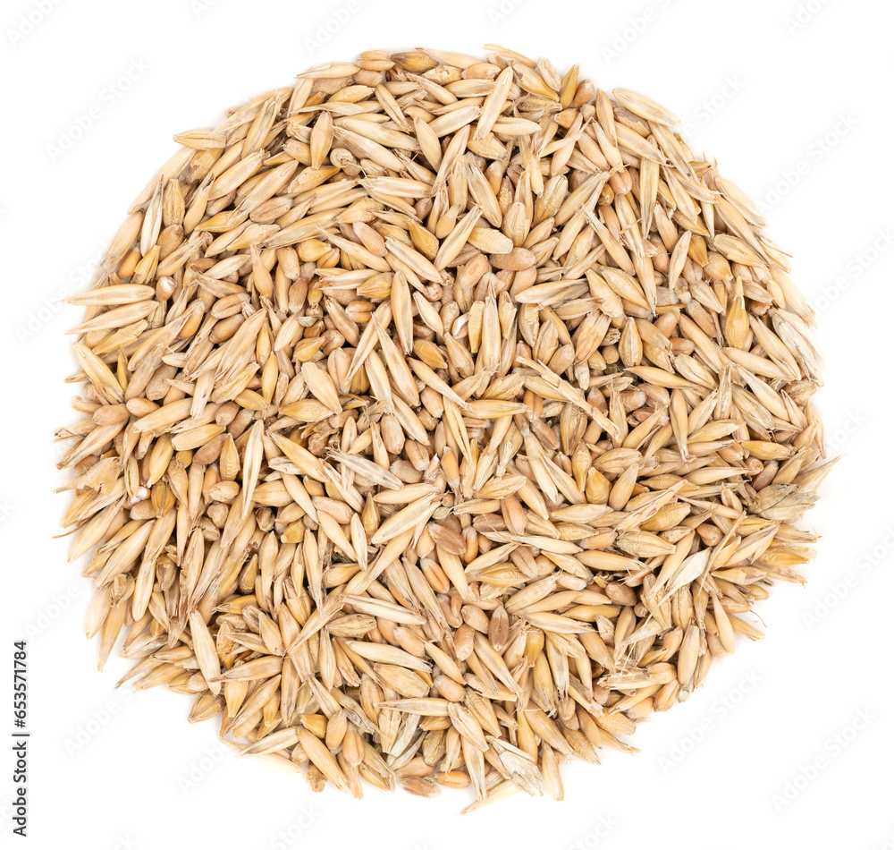 Cereal seeds isolated on white background. pile oats, wheat, barley close-up