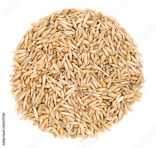 Cereal seeds isolated on white background. pile oats, wheat, barley close-up