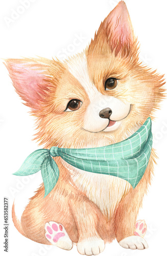 Corgi dog watercolour, cute dog watercolour