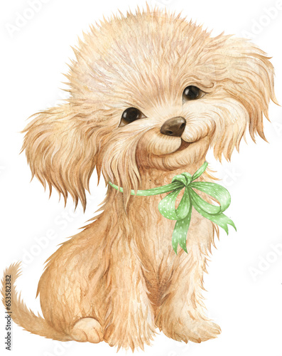 Maltipu puppy watercolour, cute dog watercolour