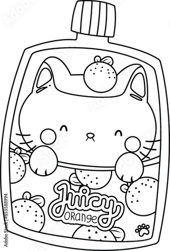 a vector of orange jelly with cat design in black and white coloring