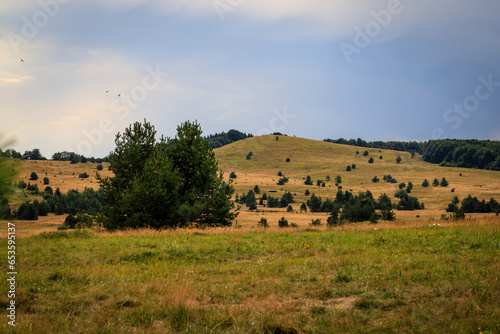 View from Uzana area  Stara planina  Bulgaria