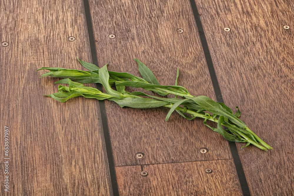 Green tarragon herb spice for cooking Green tarragon herb spice for cooking