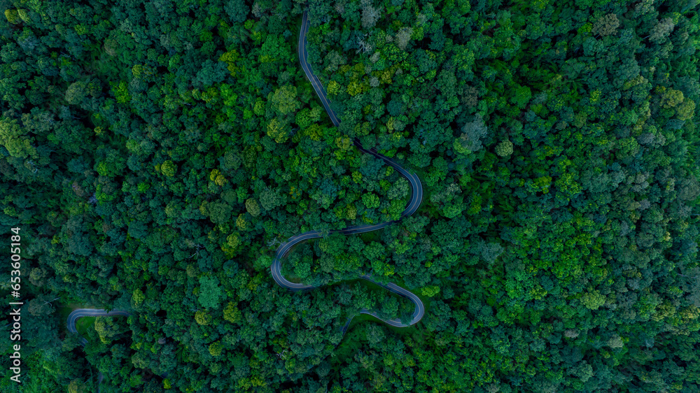 Obraz premium Aerial top view road in forest with car motion blur. Winding road through the forest. Car drive on the road between green forest. Ecosystem ecology healthy environment road trip.