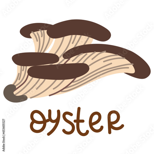 Colorful wild edible oyster with cartoon-style names. Isolated vector flat illustration. Oyster mushrooms. Edible mushrooms in forests in groups of large and small with brown caps, growing