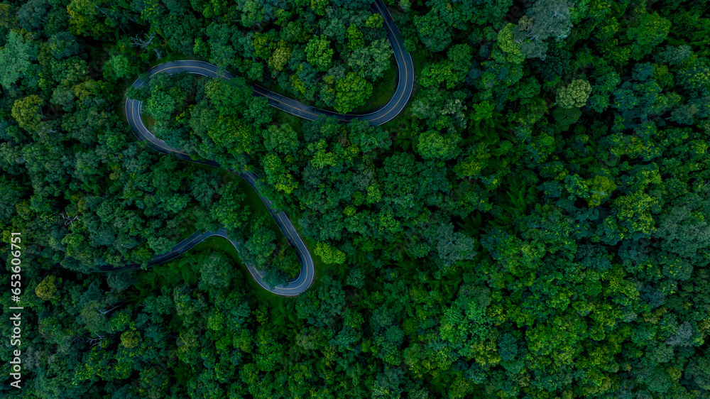 Aerial top view road in forest with car motion blur. Winding road through the forest. Car drive on the road between green forest. Ecosystem ecology healthy environment road trip.