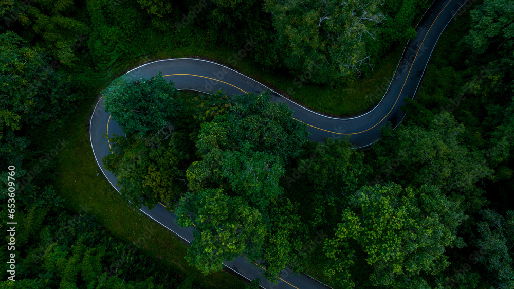 Aerial top view road in forest with car motion blur. Winding road through the forest. Car drive on the road between green forest. Ecosystem ecology healthy environment road trip. Aerial top view road in forest with car motion blur. Winding road through the forest. Car drive on the road between green forest. Ecosystem ecology healthy environment road trip.