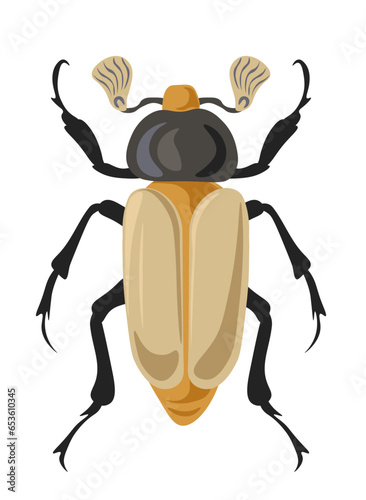 Bug Chrysina or jewel scarabs, insects vector photo