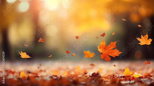 Autumn background with autumn leaves falling down