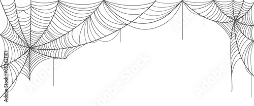 Spider web vector illustration