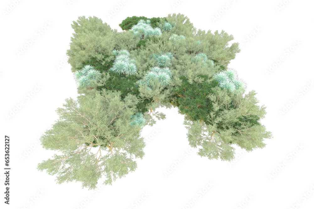 African forest isolated on transparent background. 3d rendering - illustration African forest isolated on transparent background. 3d rendering - illustration