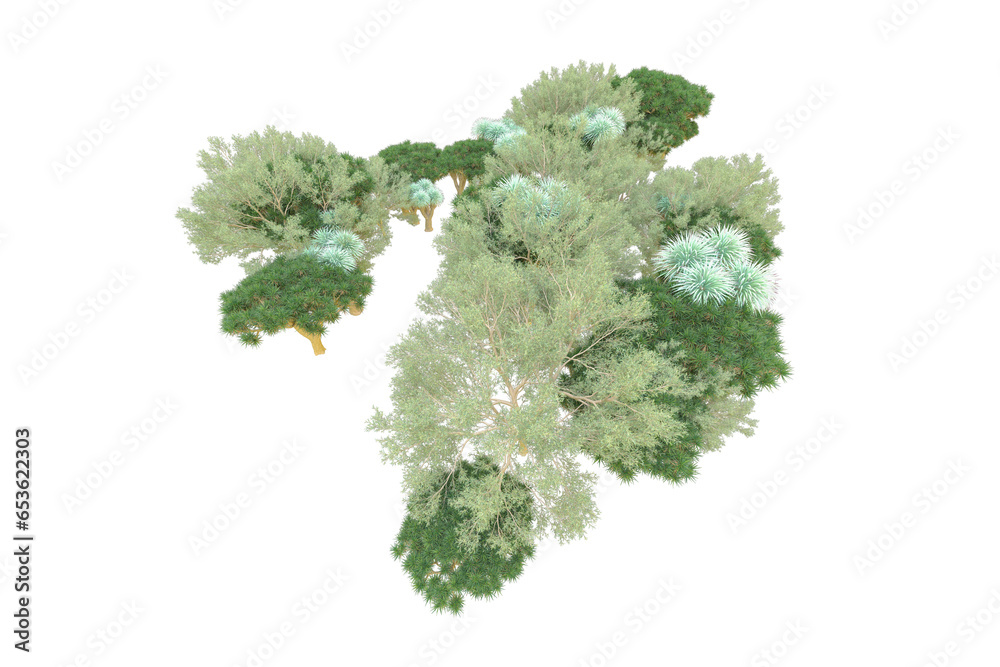 Fototapeta premium African forest isolated on transparent background. 3d rendering - illustration