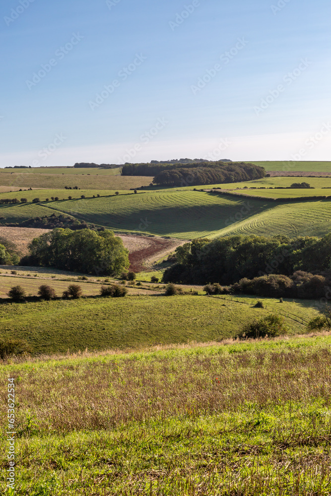 A view over a green landscape at Ditchling Beacon in the Sussex countryside