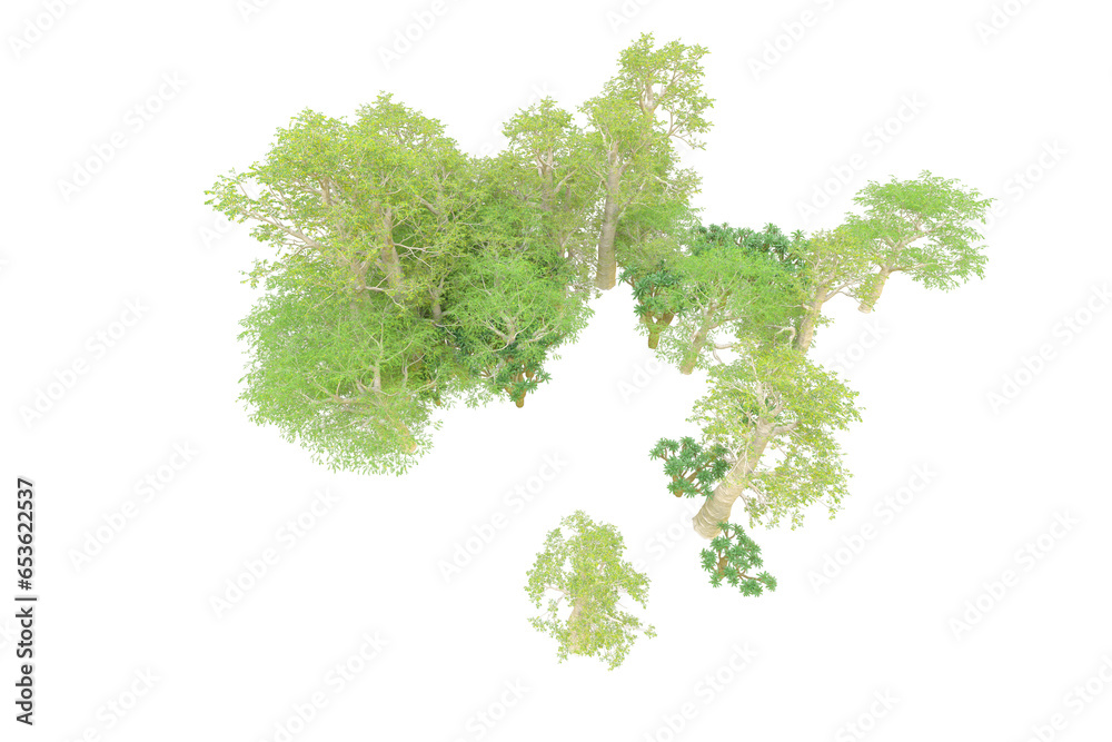 African forest isolated on transparent background. 3d rendering - illustration