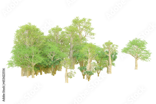 African forest isolated on transparent background. 3d rendering - illustration