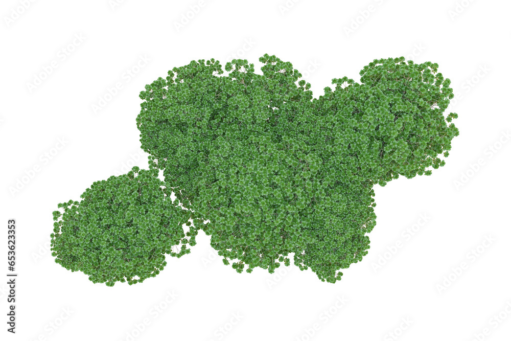 African forest isolated on transparent background. 3d rendering - illustration African forest isolated on transparent background. 3d rendering - illustration