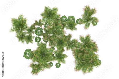 Tropical forest isolated on transparent background. 3d rendering - illustration