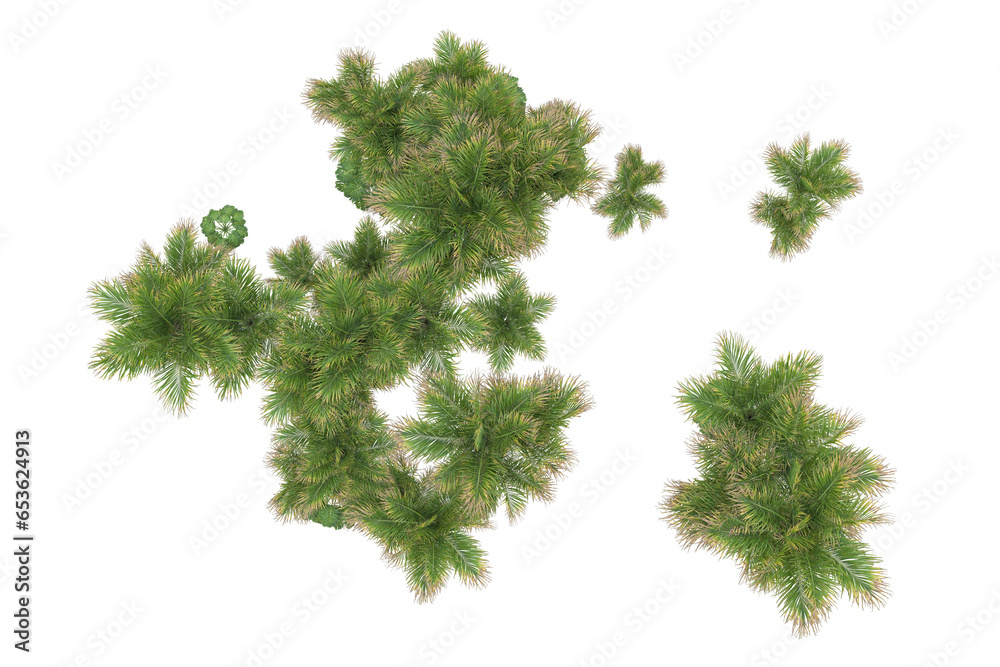 Fototapeta premium Tropical forest isolated on transparent background. 3d rendering - illustration