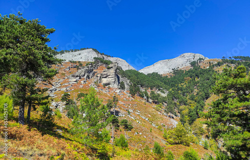 Landscape on the Ipsarion or Ypsarion mountain in Thassos , Greece , the highest mountain of the island with mediterranean specific vegetation , pines and shrubs and geological formations