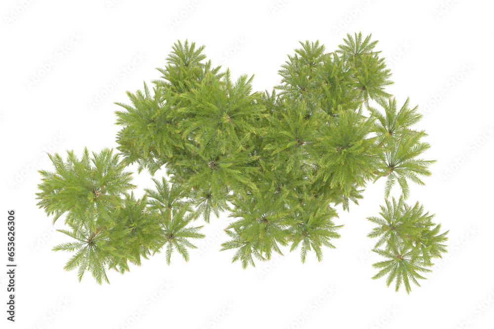 Fototapeta premium Tropical forest isolated on transparent background. 3d rendering - illustration