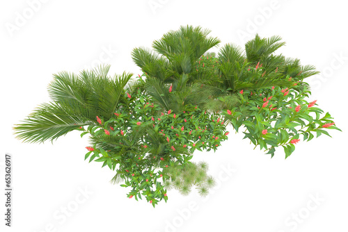 Tropical forest isolated on transparent background. 3d rendering - illustration