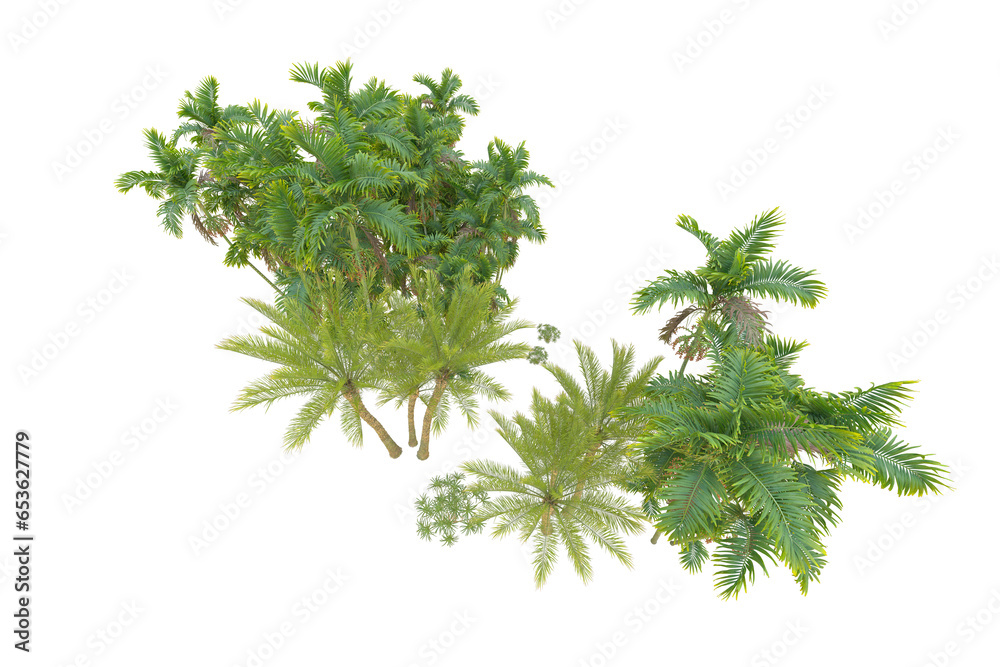 Fototapeta premium Tropical forest isolated on transparent background. 3d rendering - illustration