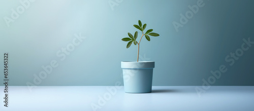 Green little plant in a pot on a blue background