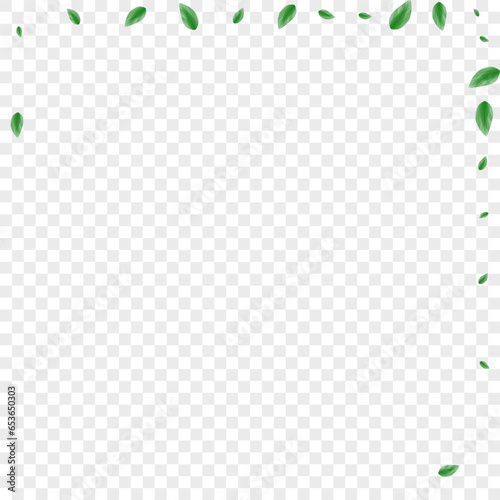 Light Green Plant Background Transparent Vector. Greenery Clean Illustration. Forest Card. Green Eucalyptus Texture. Leaf Modern.