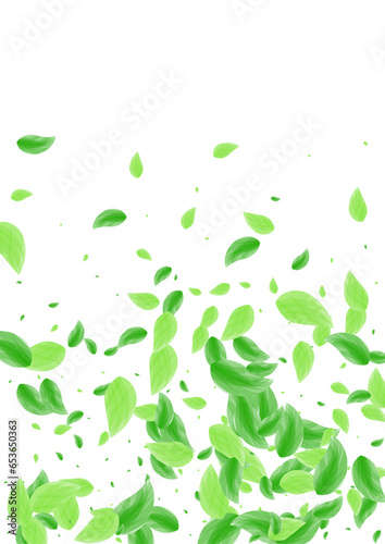 Light Green Plant Background White Vector. Greenery Botanical Illustration. Organic Card. Greenish Copy Texture. Sheet Twig.