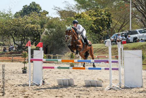 horse and rider showjumping photo