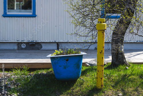A blue bathtub with flowers in it in front of a house made from corrogated iron, scandinavian lifestyle photo