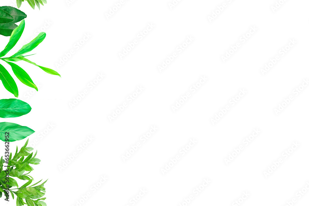 Leaf lemon frame arranged into picture frames, frame Leaf lemon, leaf frame, leaf picture, bright green, natural leaf color, transparent background png file Leaf lemon frame arranged into picture frames, frame Leaf lemon, leaf frame, leaf picture, bright green, natural leaf color, transparent background png file