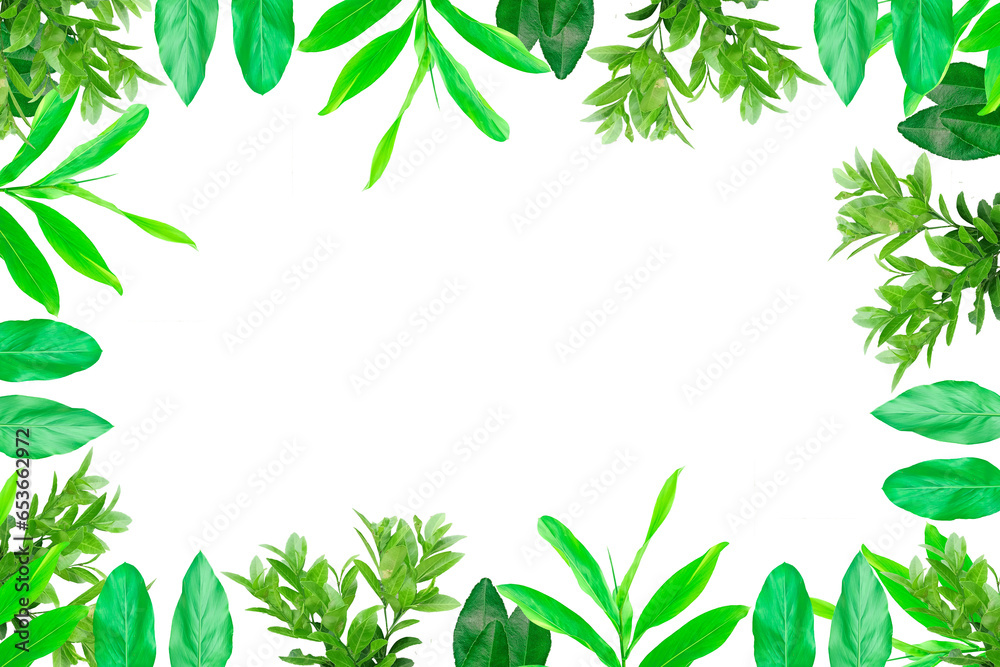 Leaf lemon frame arranged into picture frames, frame Leaf lemon, leaf frame, leaf picture, bright green, natural leaf color, transparent background png file