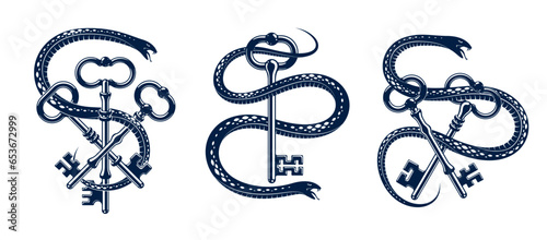 Snake wraps around vintage key, protected secret concept, turnkey and serpent old style tattoo, vector symbol logo or emblem.