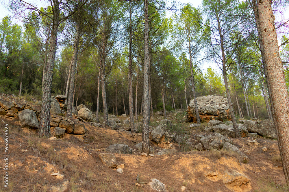 Rock formations and remains of old rural constructions in the forest of La Muela mountain in Rincón de Ademuz on the Iberian Peninsula Rock formations and remains of old rural constructions in the forest of La Muela mountain in Rincón de Ademuz on the Iberian Peninsula