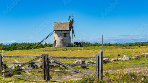 A couple of horses seeking shade behind an old windmill located close to Burgsvik on the island of Gotland