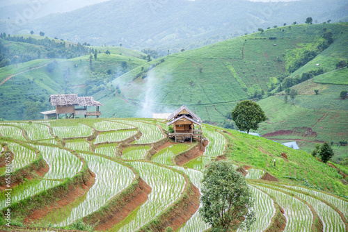 View of rice field on the mountain with cookking smoke at a little hut.