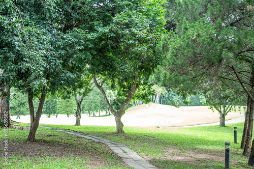 View of the path in the national park.