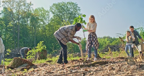 Young enthusiastic friends helping each other planting trees in picturesque forest. Caring African American man, charming Caucasian woman and other volunteers during forestation work.