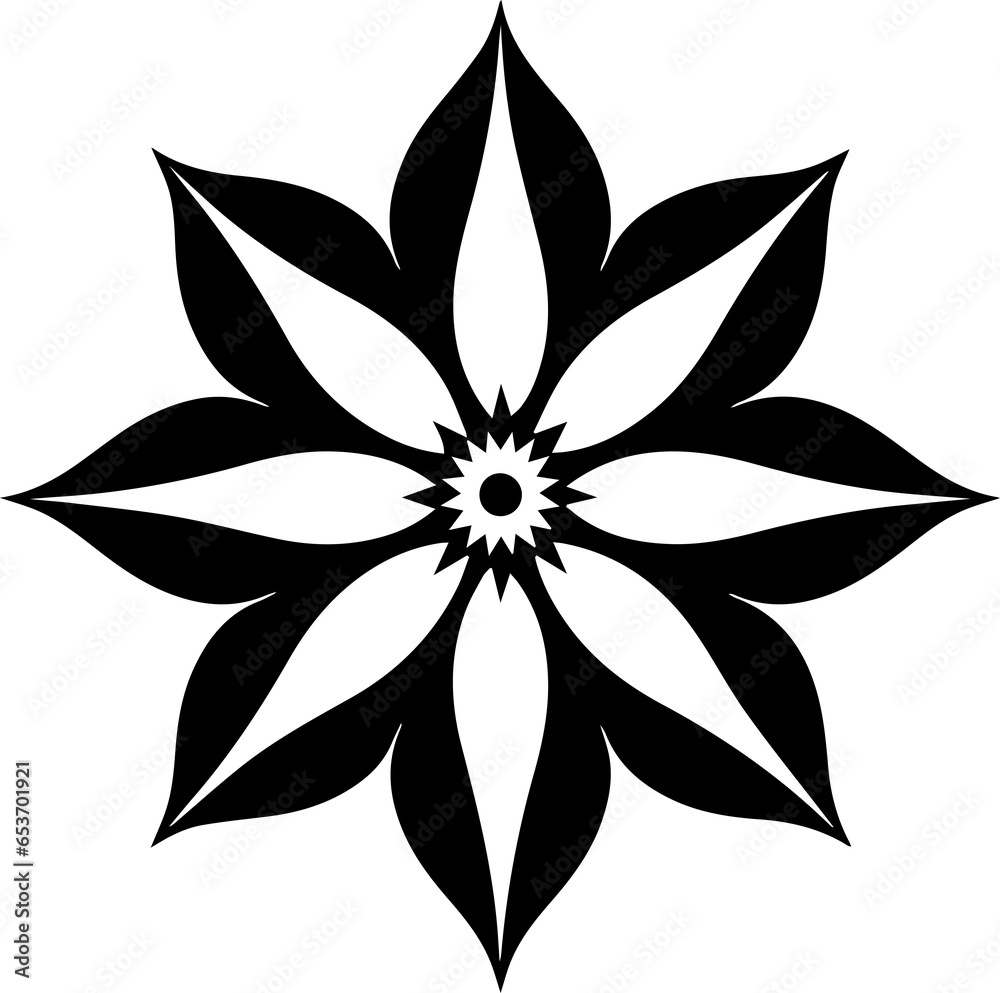 Wonder Geometric Wonder Geometric
