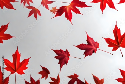 red maple leaf isolated on a white background