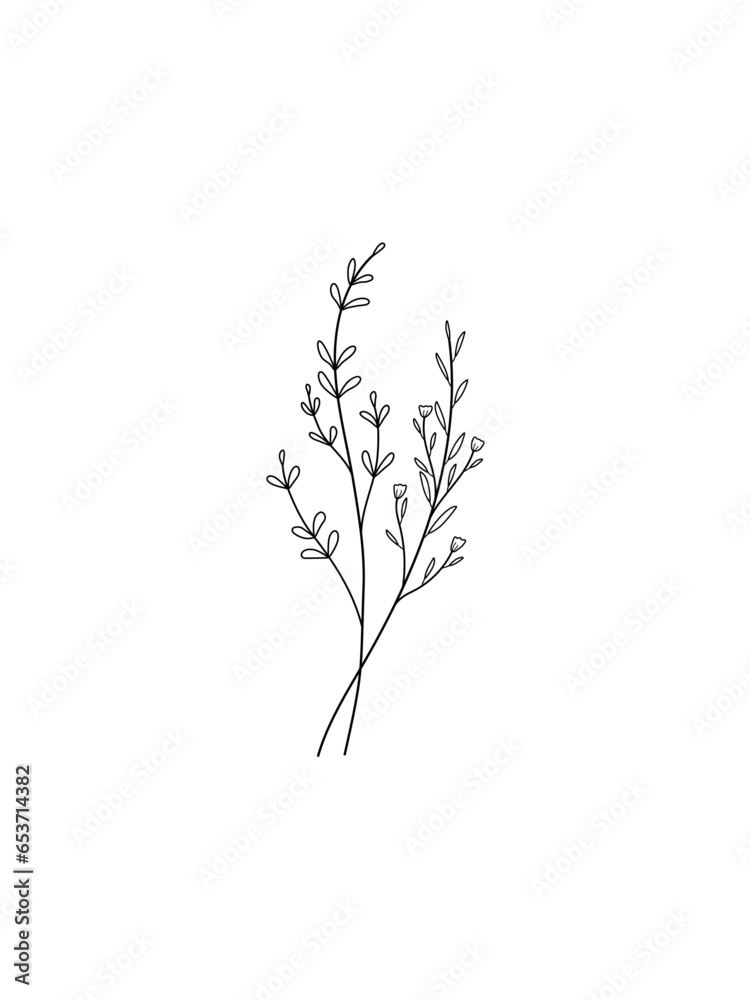 wild flower and plant line art botanical illustration. Trendy greenery hand drawn black ink sketche. Modern design for logo, wall art, branding and packaging. wild flower and plant line art botanical illustration. Trendy greenery hand drawn black ink sketche. Modern design for logo, wall art, branding and packaging.