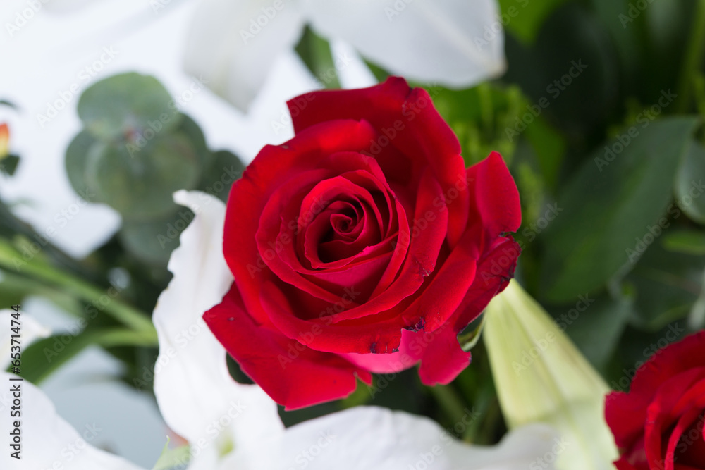 Flowers are clearly detailed and a beautiful backdrop. Flowers are clearly detailed and a beautiful backdrop.