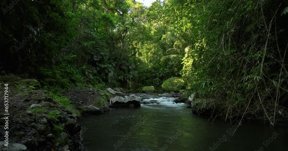 River in tropical green rainforest, 4K Aerial drone top view shot River in tropical green rainforest, 4K Aerial drone top view shot