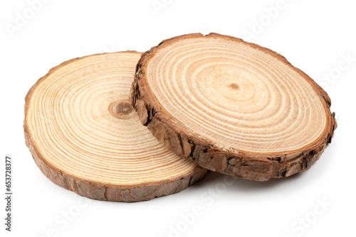 Cross section of tree trunks showing growth rings
