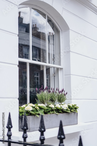 Fototapeta Naklejka Na Ścianę i Meble -  Flower pots on a window sill with white wall in background.