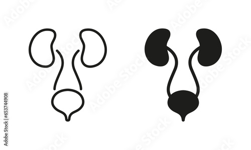 Human Urinary System Line and Silhouette Icon Set. Healthy Internal Organs, Health Bladder and Kidney Symbol Collection on White Background. Urology Disease Pictogram. Isolated Vector Illustration