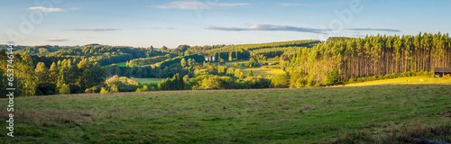 Panorama view on the rural meadows of Galicia in Spain photo