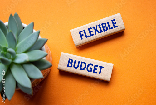 Flexible budget symbol. Concept words Flexible budget on wooden blocks. Beautiful orange background with succulent plant. Business and Flexible budget concept. Copy space.